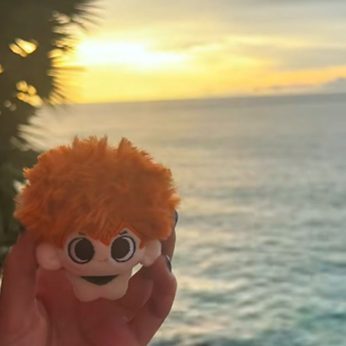 【GOODS】ハイキュー！！  日向 翔陽 10cm 団子ぬいぐるみ Q2243