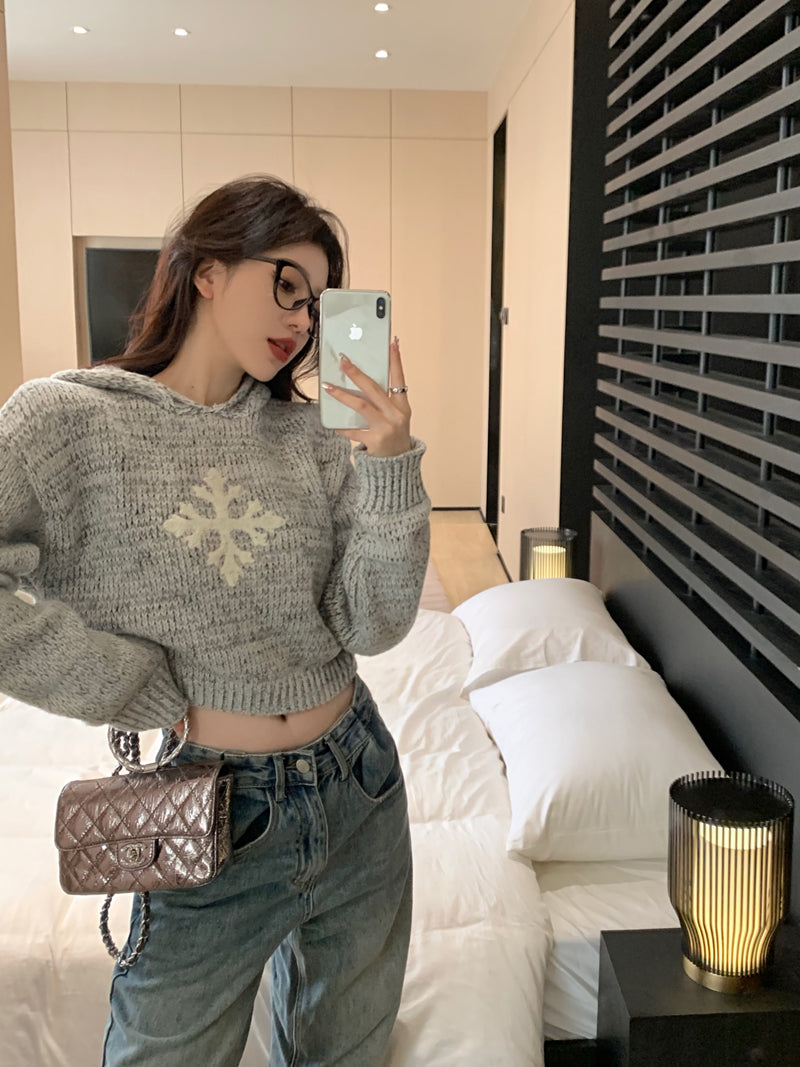 【tops】フード付き秋ニットセーターG23795