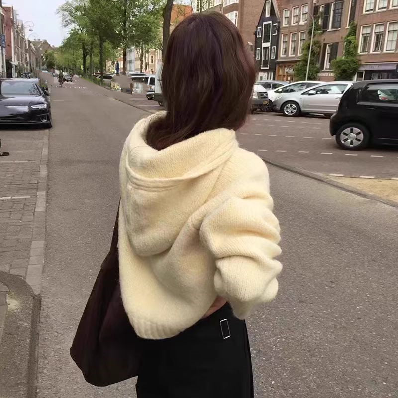 【tops】フード付きニットセーターG24012