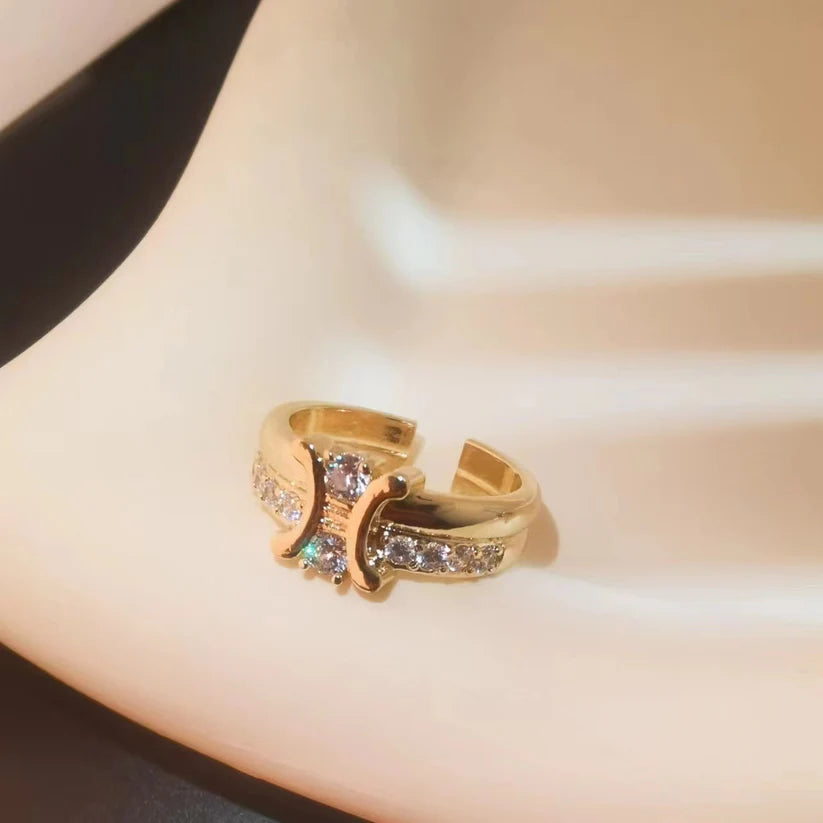 【小物】2点セット指輪アクセサリーF8410