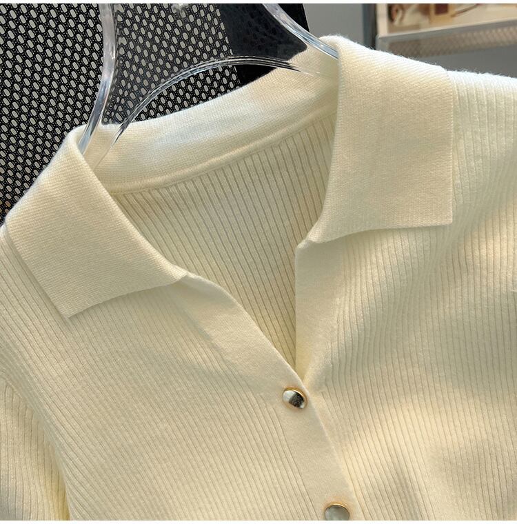 【tops】POLOネックニットＴシャツF7401